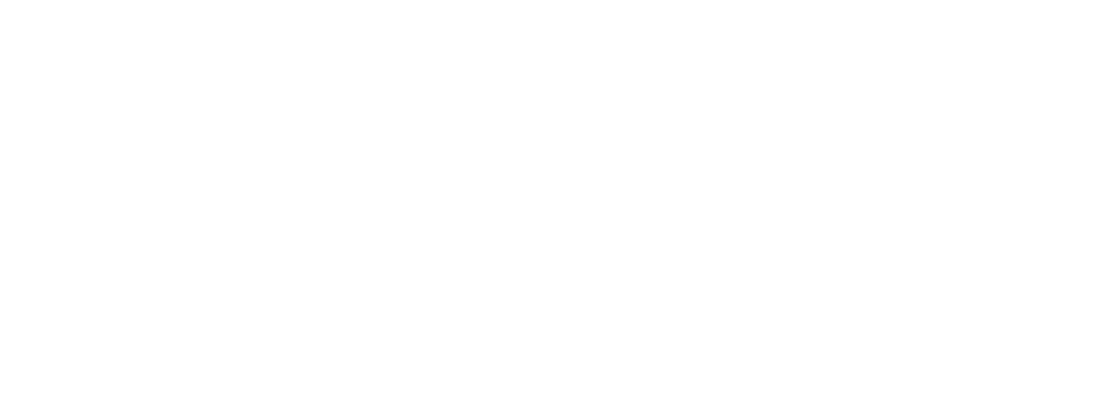 Distrofy Logo